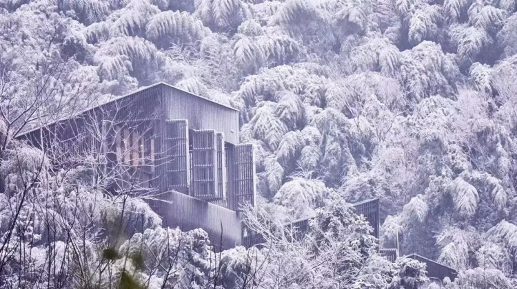 在竹海雪野里泡一场温泉SPA这才是这个冬天最正确的打开方式